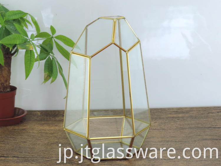 Glass Geometric Terrarium 